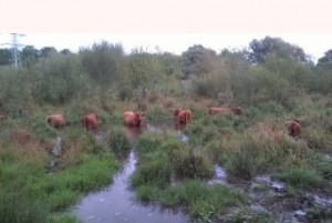 sponsorwandeling-foto2016